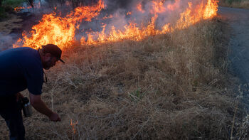 a social share image for the story: Painting with fire: How Indigenous practices can help protect forests.