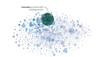 a social share image for the story: Marijuana dispensary names all sound the same, and that’s a business problem.